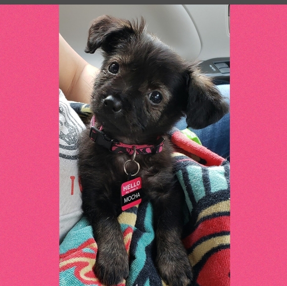 Thanks for Stopping By - Picture 6 of 8